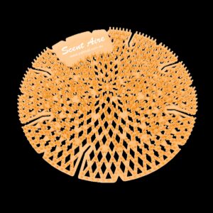 54002 Sunburst Urinal Screen.jpg