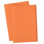 Manilla Folders-Foolscap-Orange-100-Avery-40139.jpg